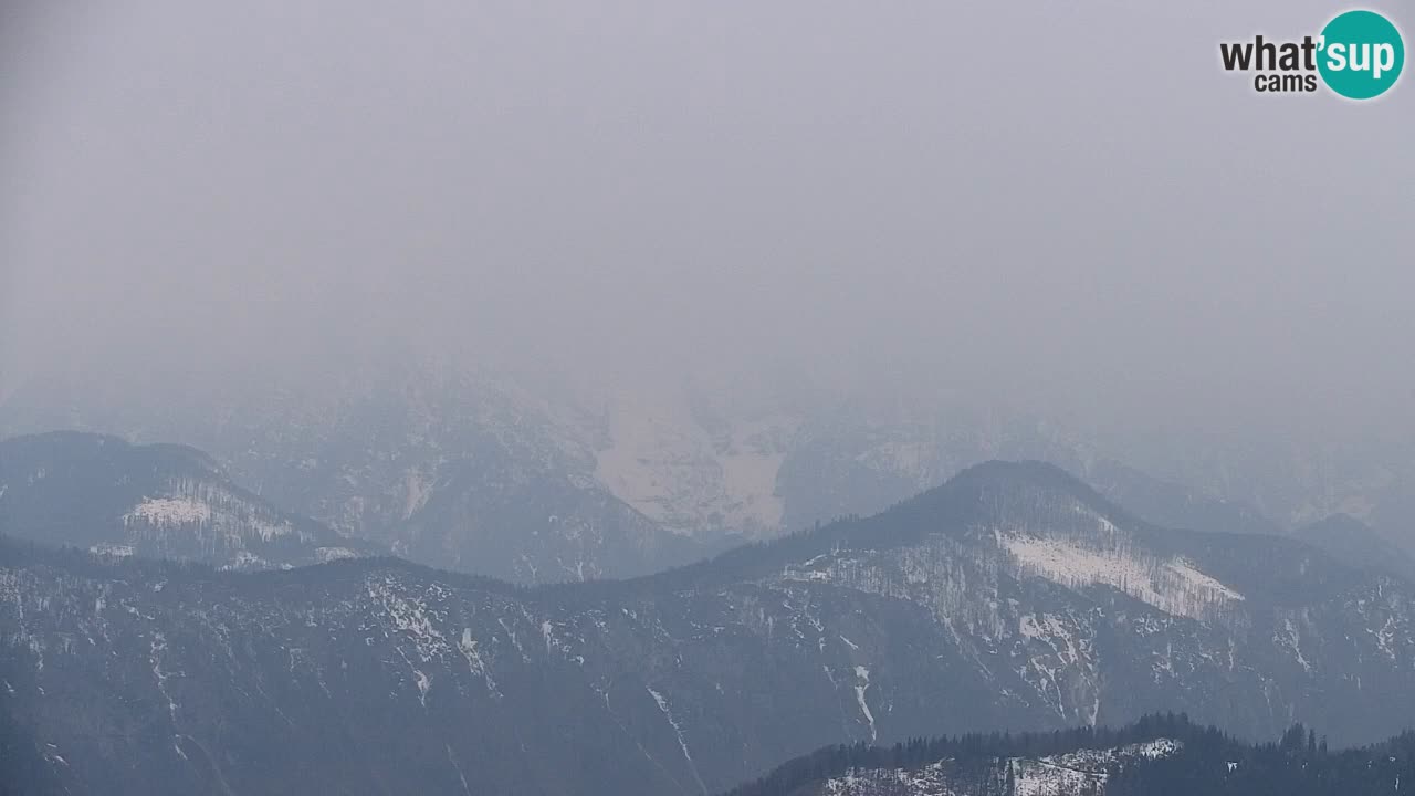 Webcam Koča na Golici (1582 m) – Slovenia