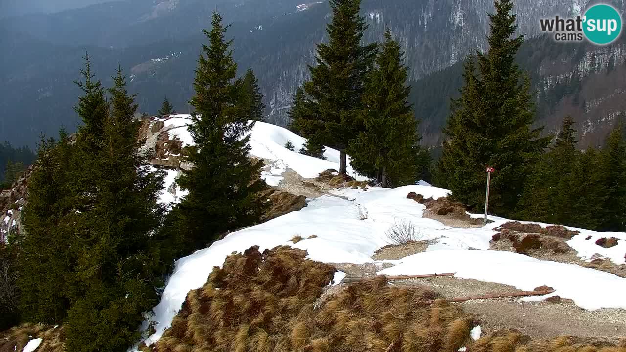 Web kamera Koča na Golici (1582 m) – Slovenija