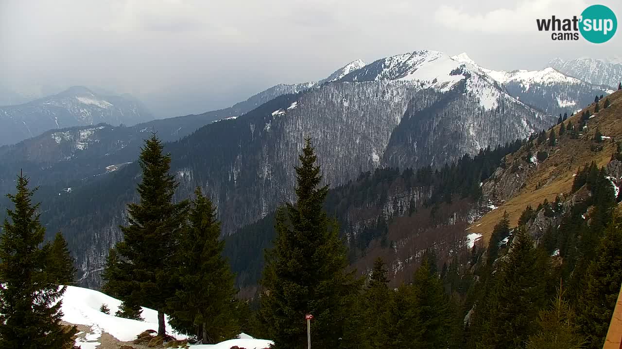 Web kamera Koča na Golici (1582 m) – Slovenija