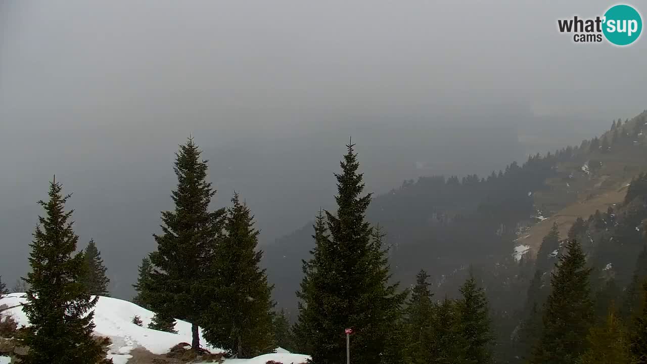 Web kamera Koča na Golici (1582 m) – Slovenija