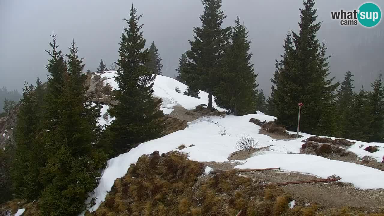 Webcam Koča na Golici (1582 m) – Slovenia