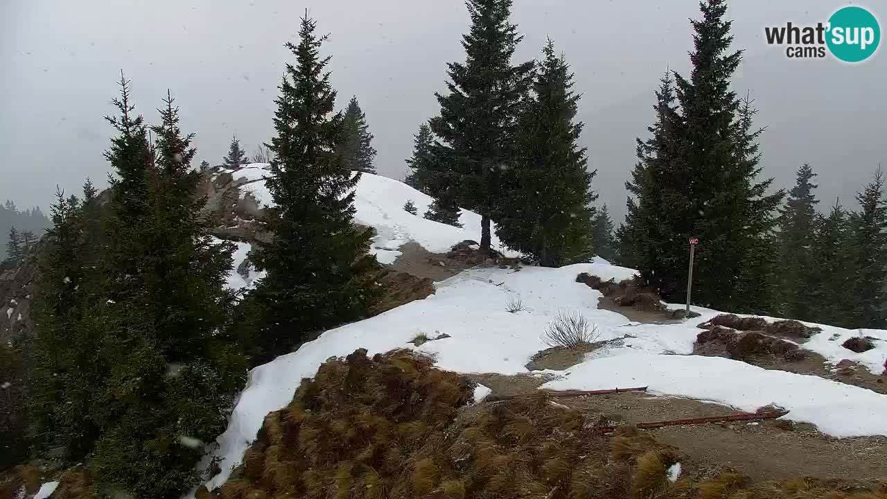 Webcam en Golica (1582 m) – Eslovenia