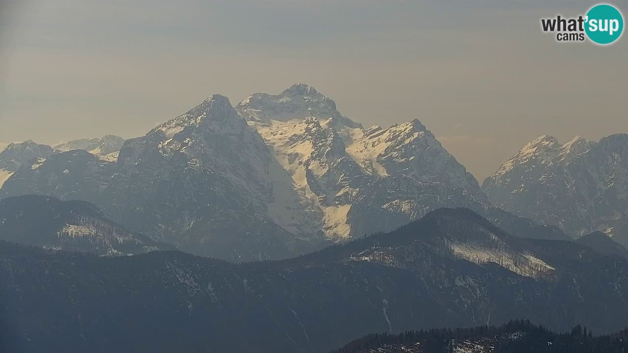 Web kamera Koča na Golici (1582 m) – Slovenija