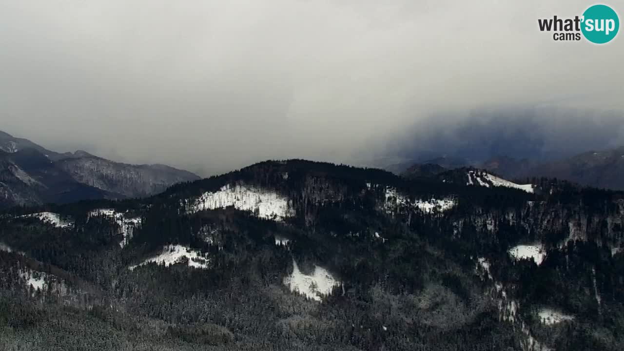 Webcam Koča na Golici (1582 m) – Slovenia