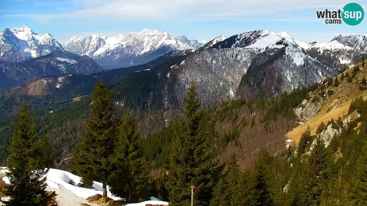 Koča na Golici Webcam (1582 m) – Slowenien