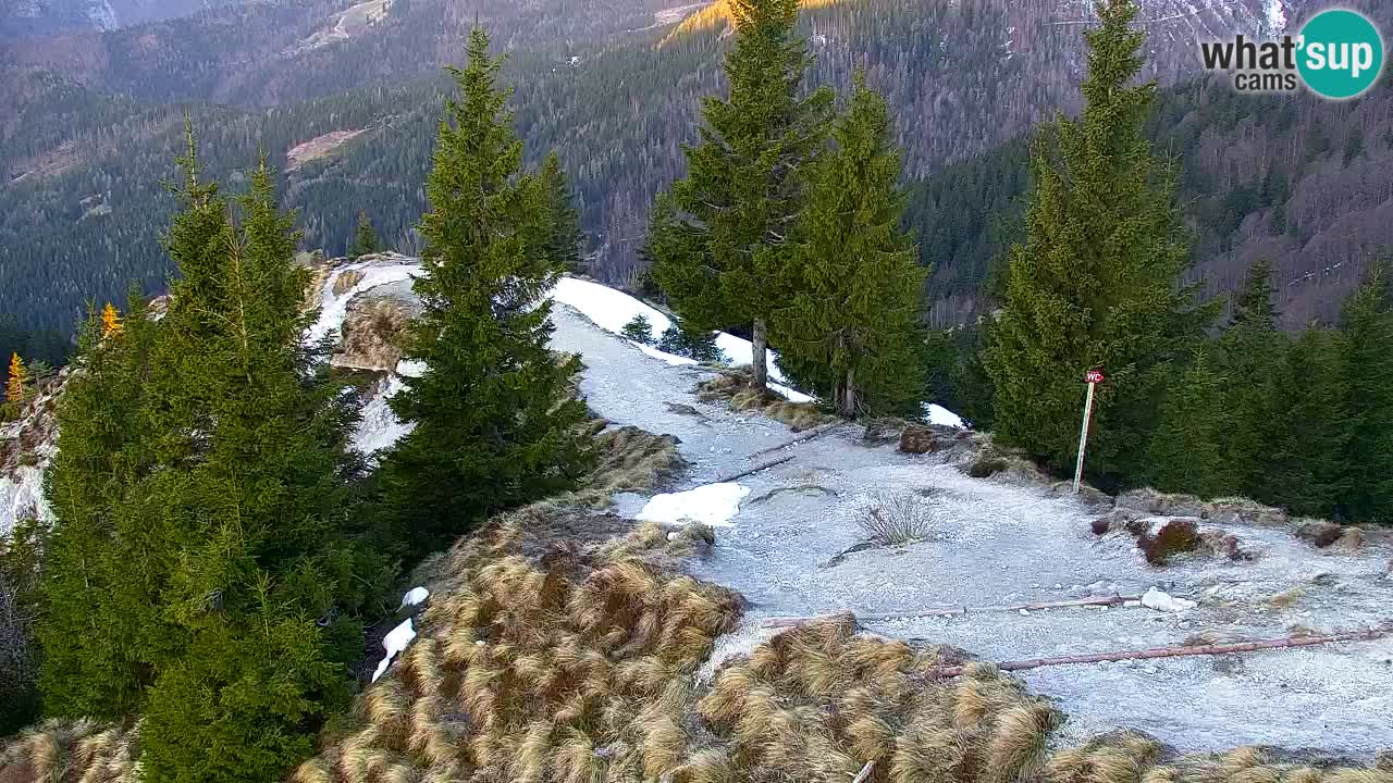 Webcam Koča na Golici (1582 m) – Slovenia
