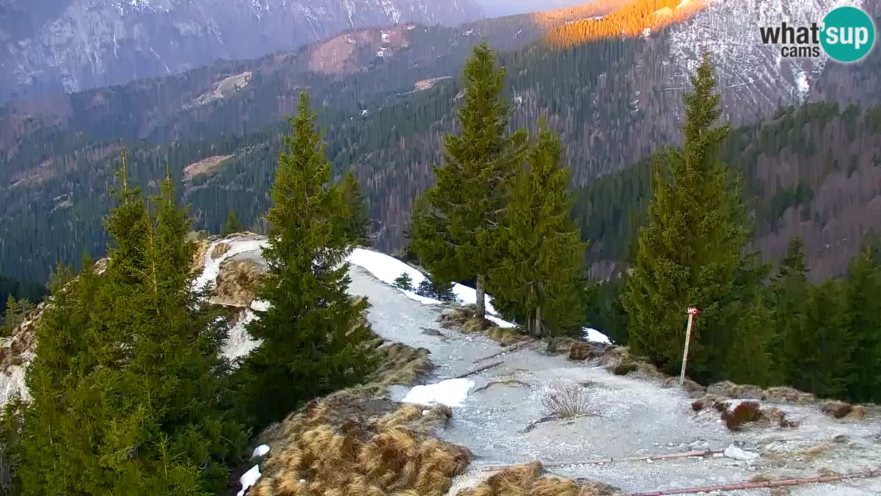 Webcam Koča na Golici (1582 m) – Slovenia