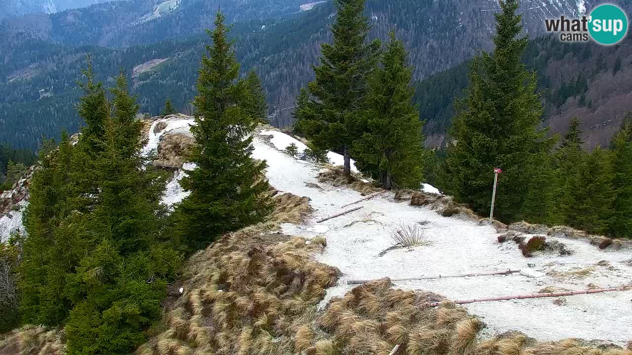 Webcam Koča na Golici (1582 m) – Slovenia