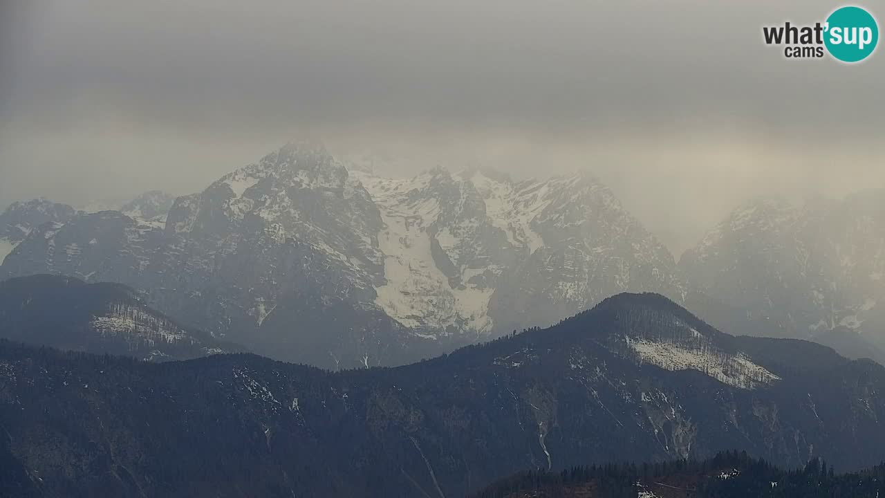 Webcam Koča na Golici (1582 m) – Slovenia