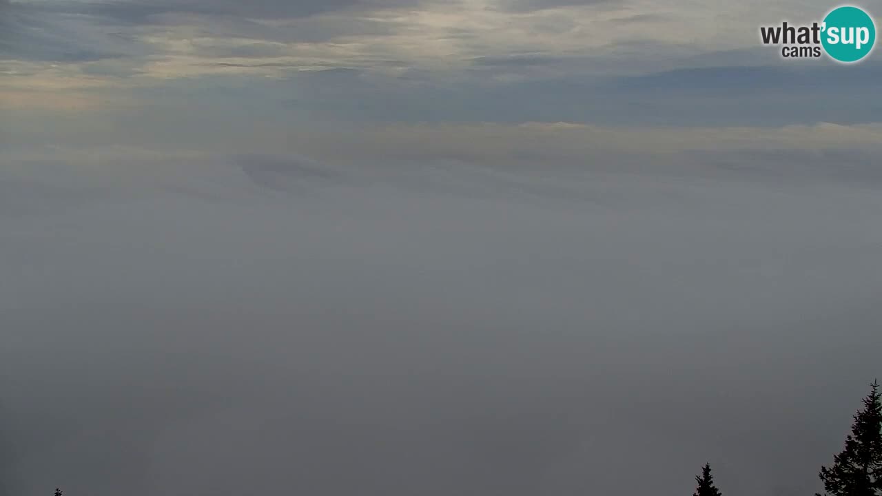 Webcam Koča na Golici (1582 m) – Slovenia