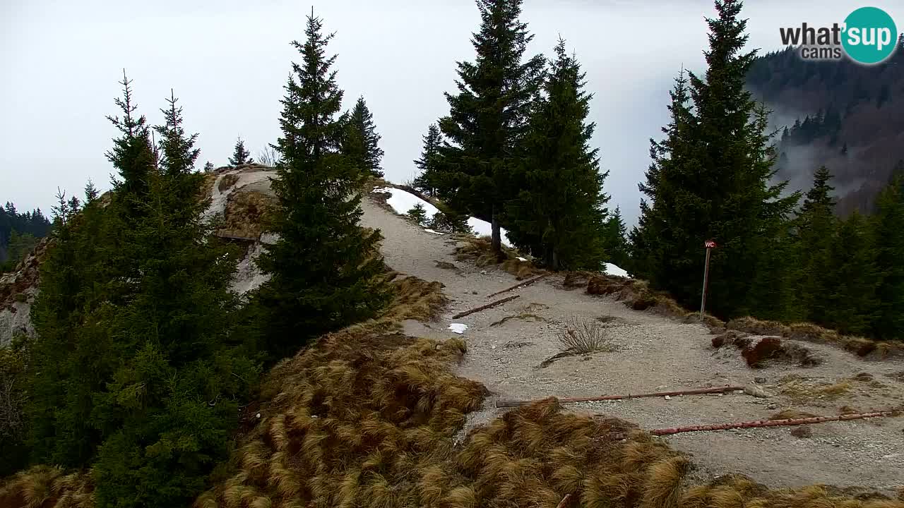 Koča na Golici Webcam (1582 m) – Slowenien