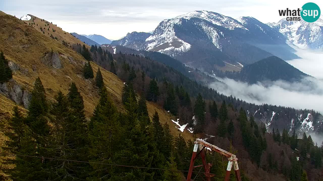 Web kamera Koča na Golici (1582 m) – Slovenija