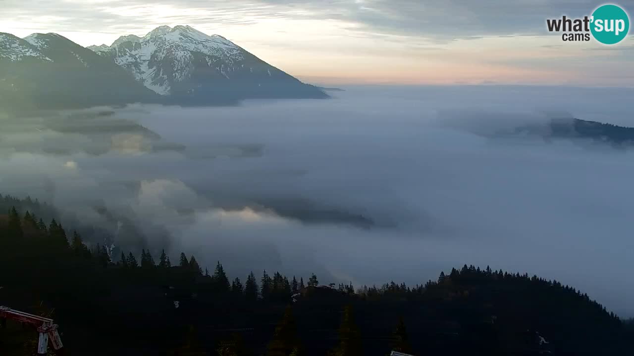 Webcam Koča na Golici (1582 m) – Slovenia