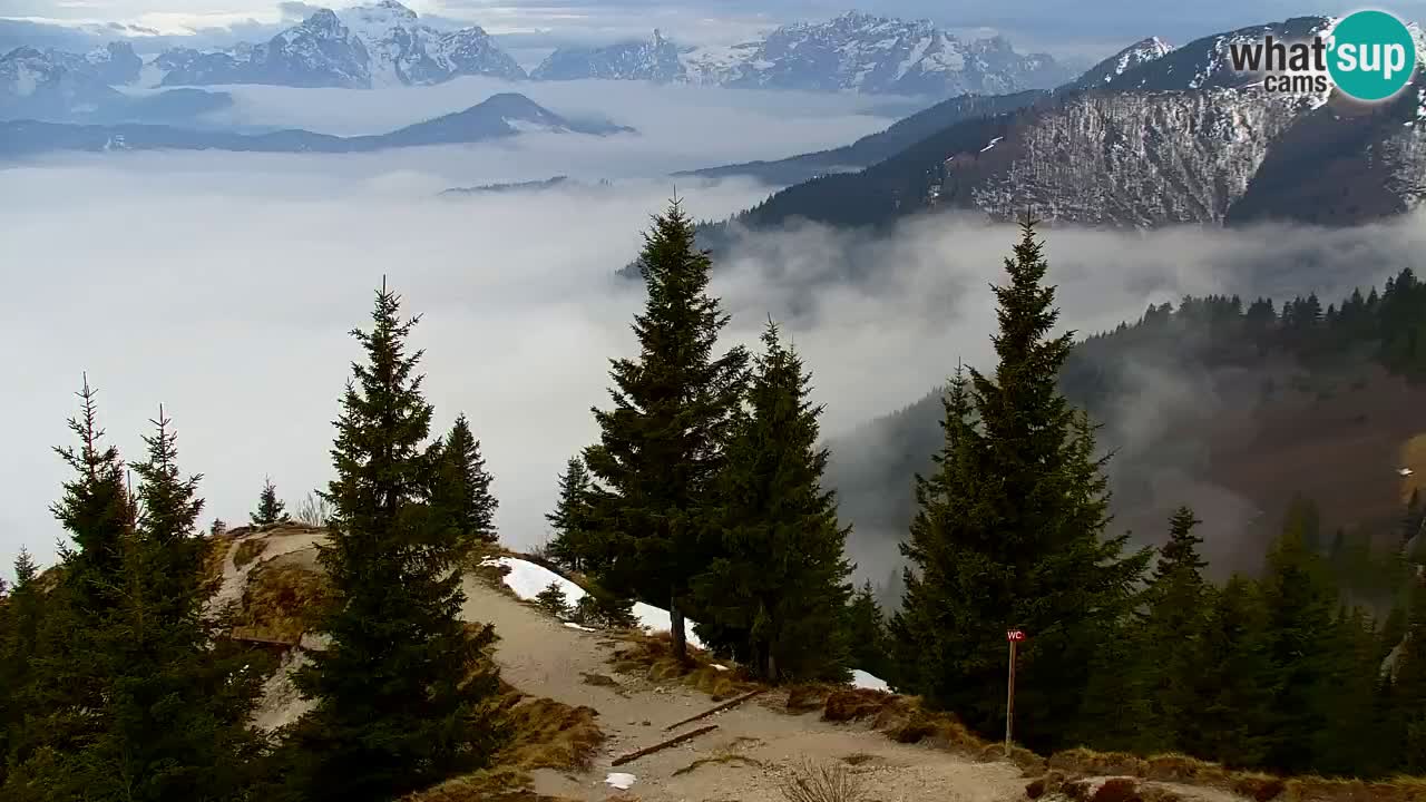 Koča na Golici Webcam (1582 m) – Slowenien