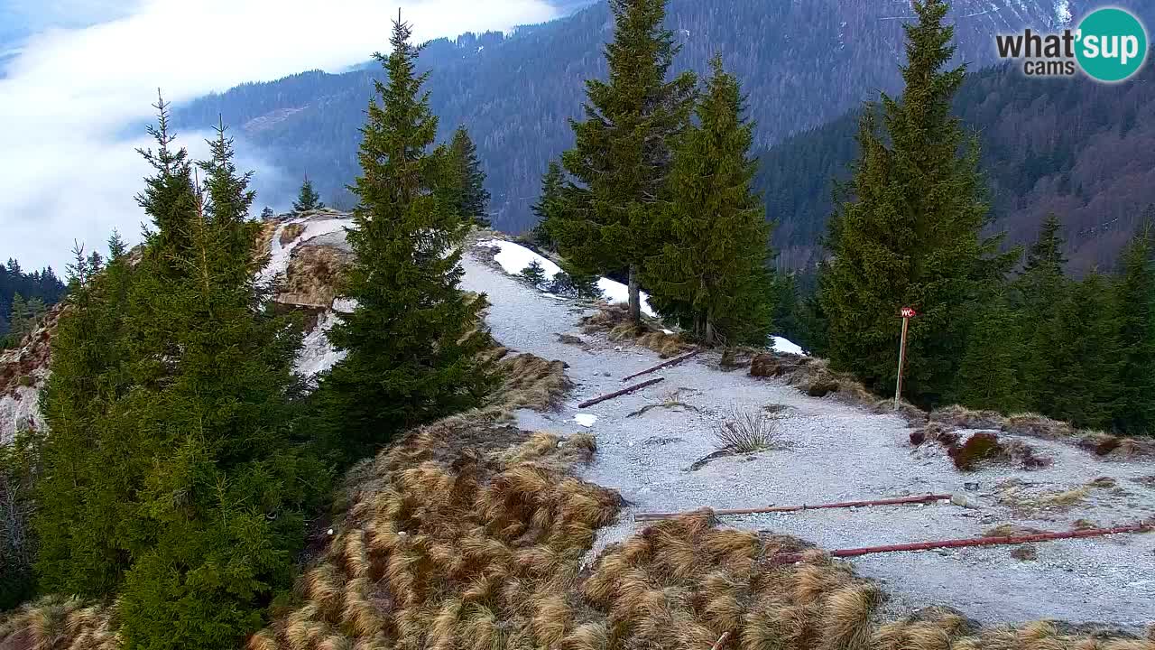 Koča na Golici Webcam (1582 m) – Slowenien