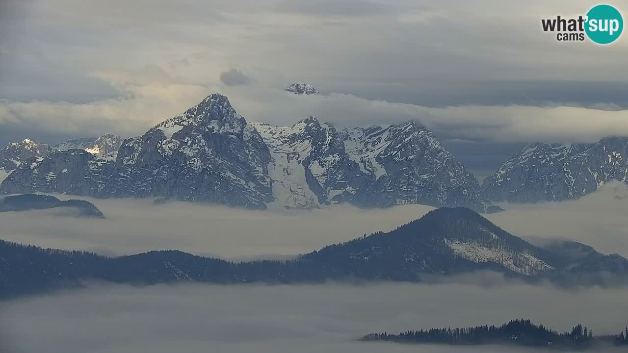 Web kamera Koča na Golici (1582 m) – Slovenija