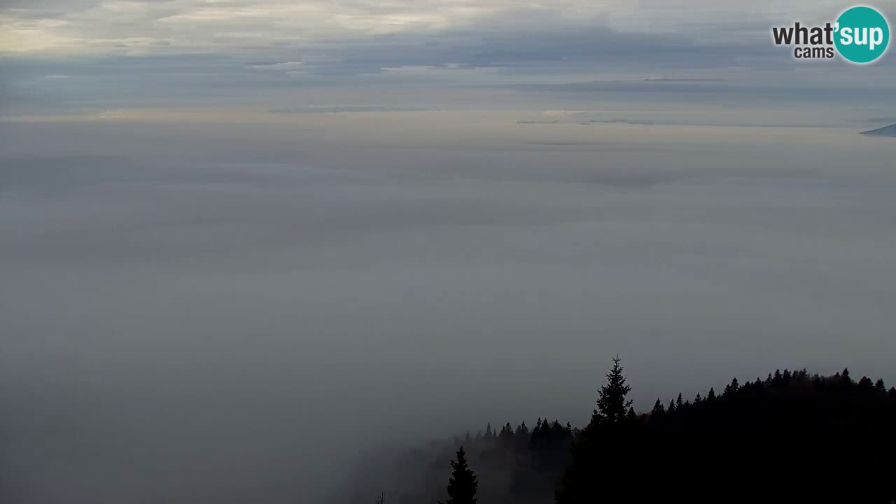 Webcam Koča na Golici (1582 m) – Slovenia