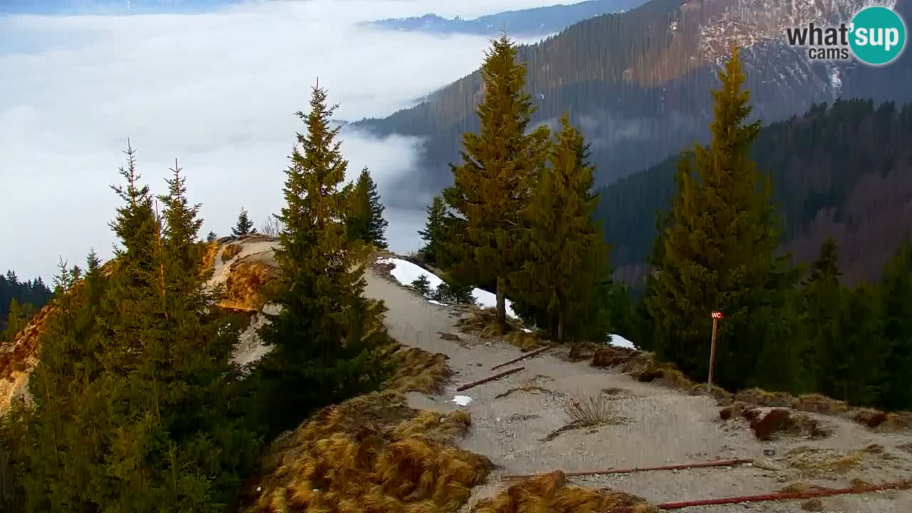 Spletna kamera Koča na Golici (1582 m) – Jesenice