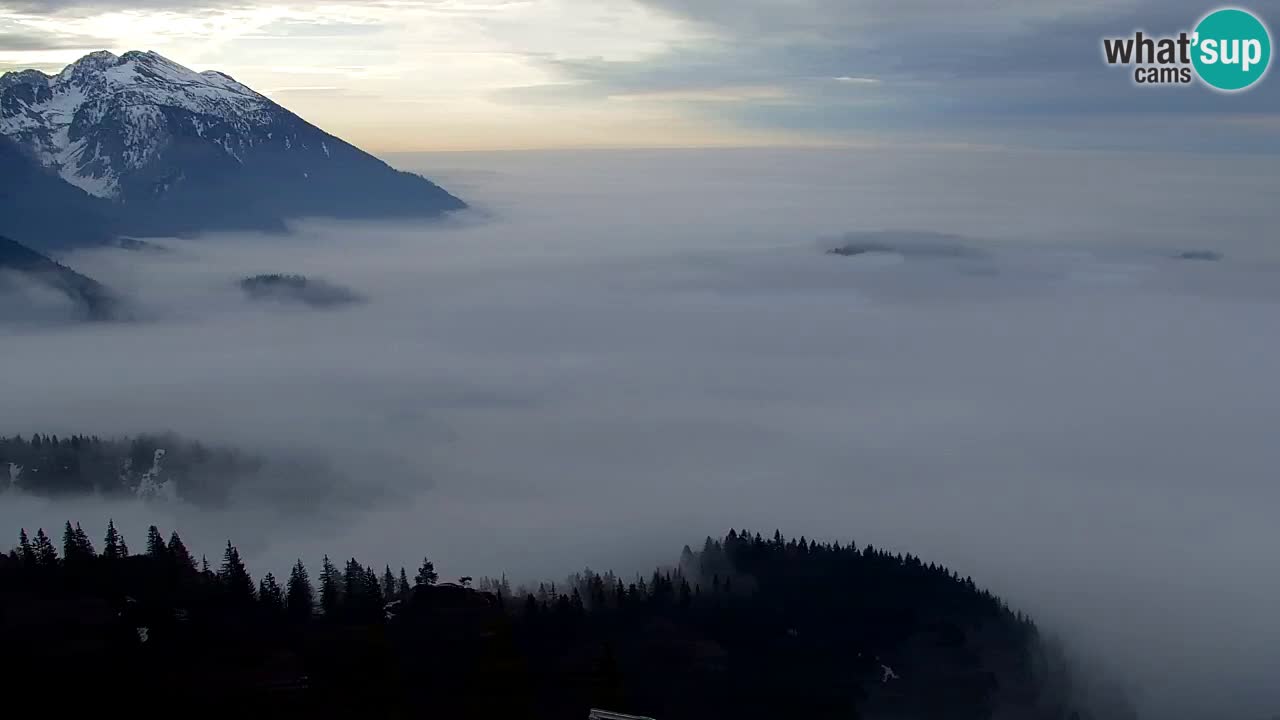 Webcam Koča na Golici (1582 m) – Slovenia
