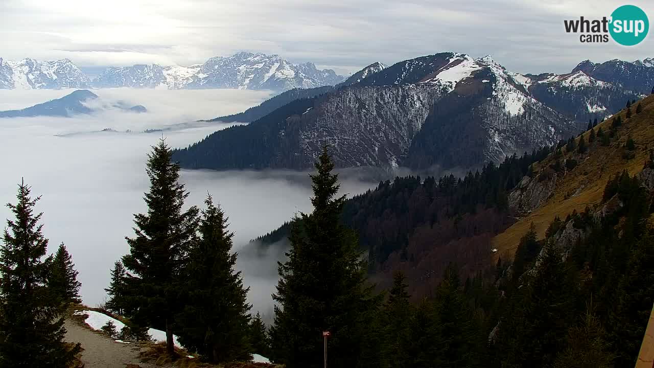 Webcam Koča na Golici (1582 m) – Slovenia