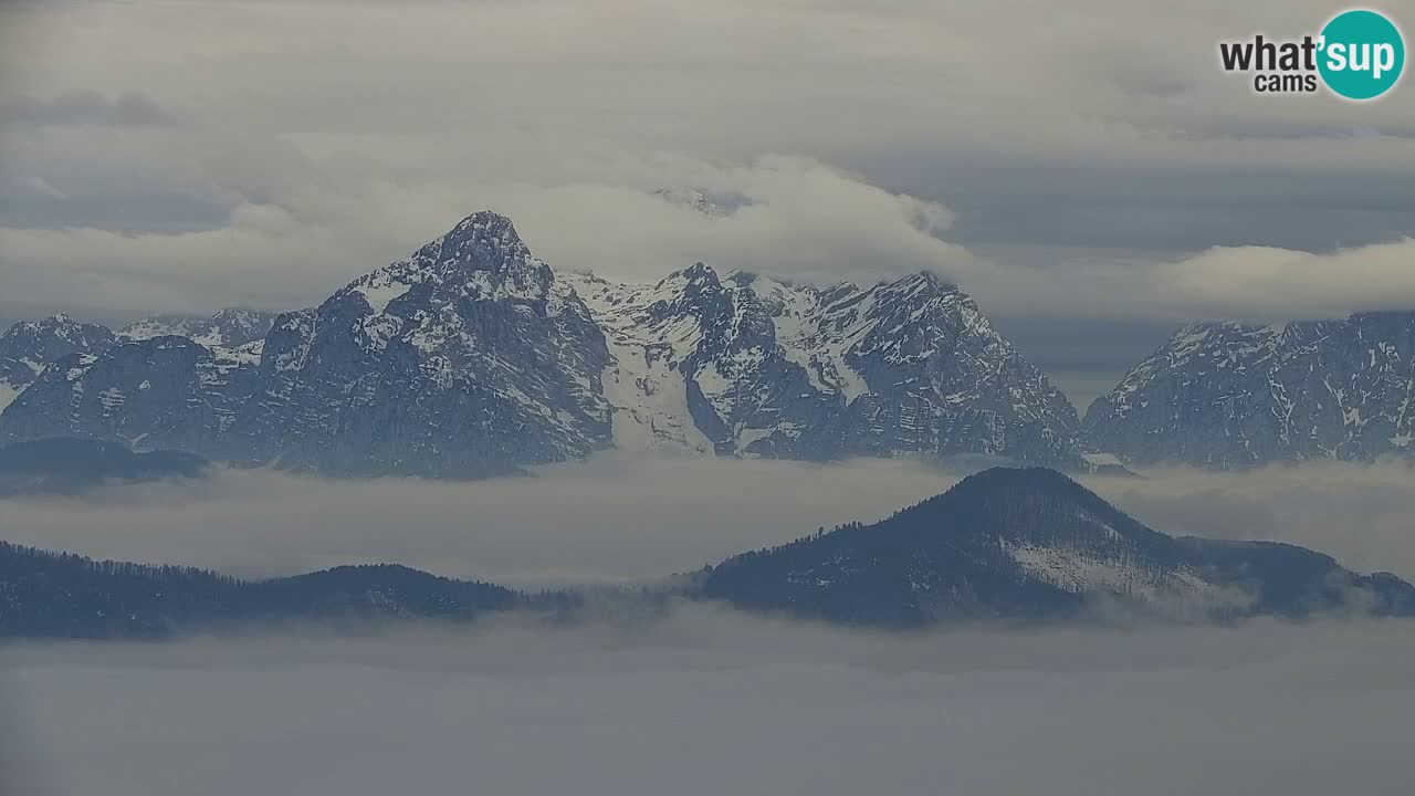Koča na Golici Webcam (1582 m) – Slowenien