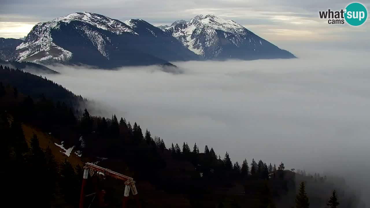 Koča na Golici Webcam (1582 m) – Slowenien