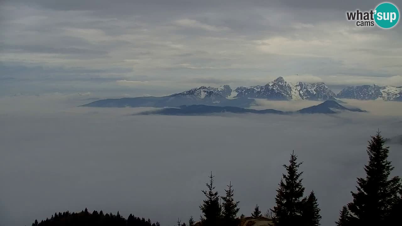 Webcam Chalet sur Golica (1582 m) – Slovénie