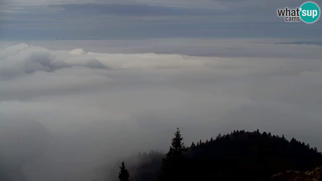 Web kamera Koča na Golici (1582 m) – Slovenija