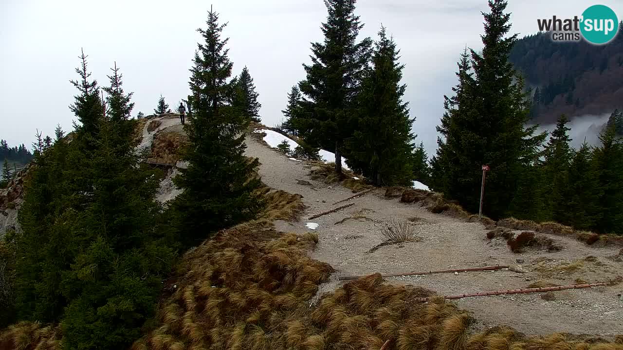 Webcam Koča na Golici (1582 m) – Slovenia