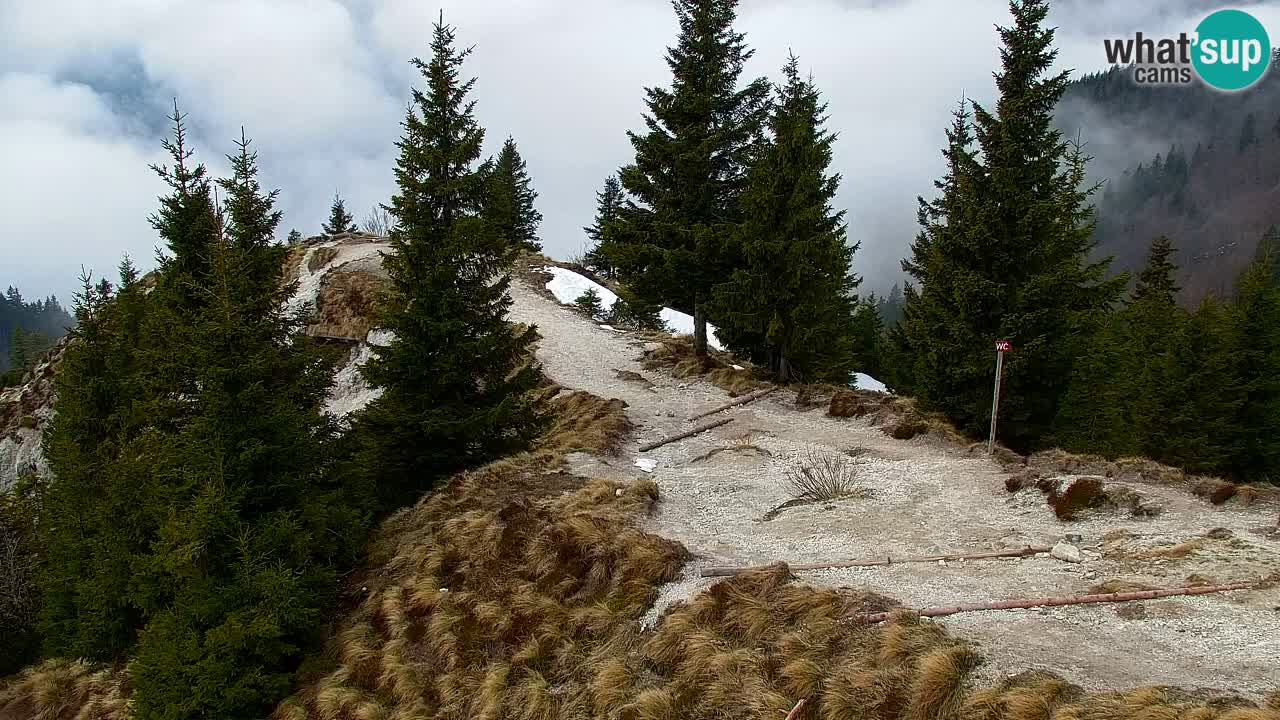 Webcam en Golica (1582 m) – Eslovenia