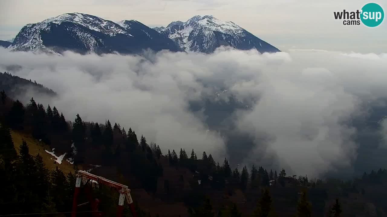 Webcam Koča na Golici (1582 m) – Slovenia