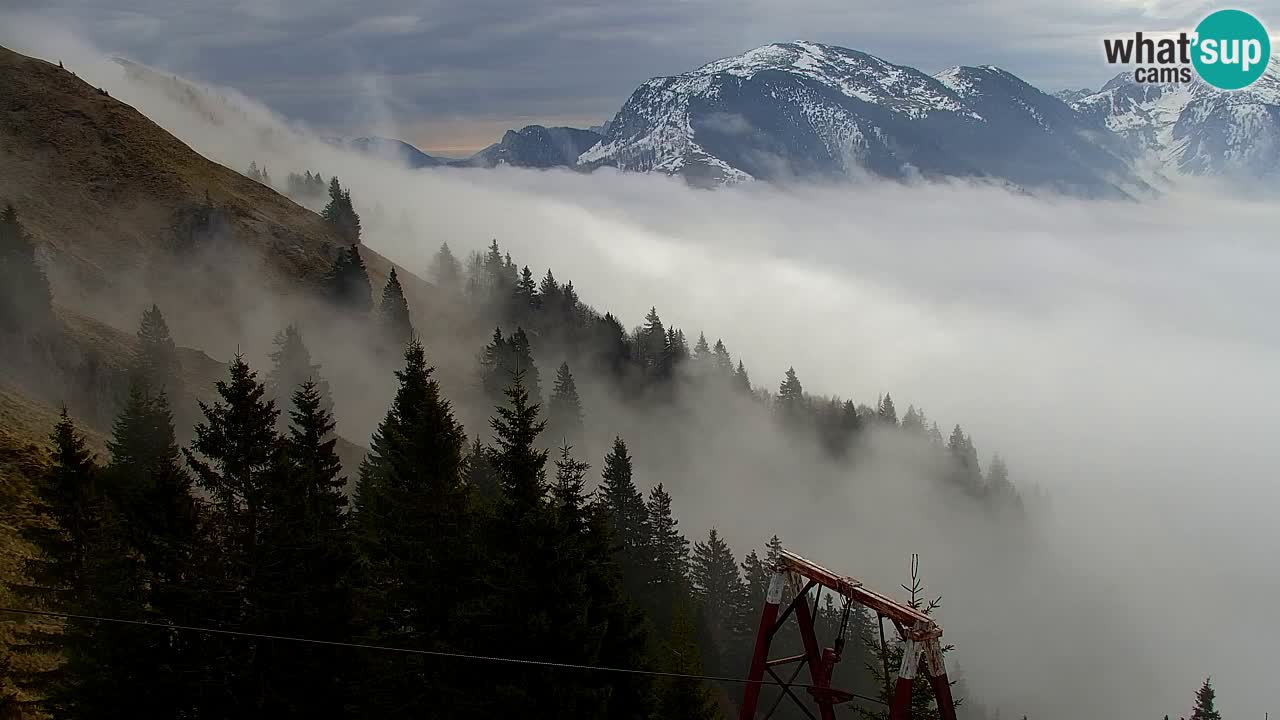 Webcam Koča na Golici (1582 m) – Slovenia