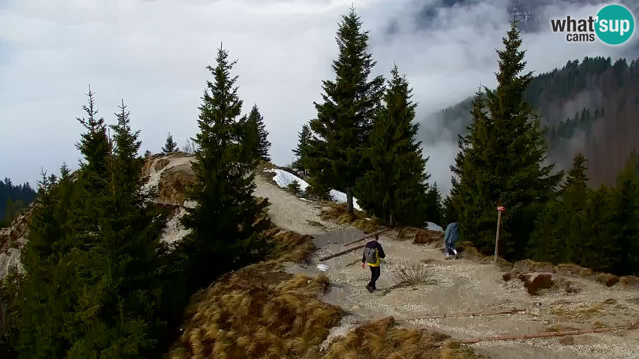 Koča na Golici Webcam (1582 m) – Slowenien