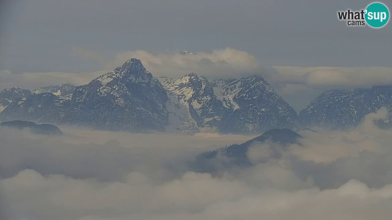 Webcam Koča na Golici (1582 m) – Slovenia