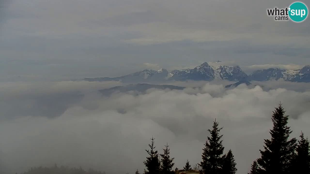 Webcam na Golici – Baita di montagna (1582 m) – Slovenia