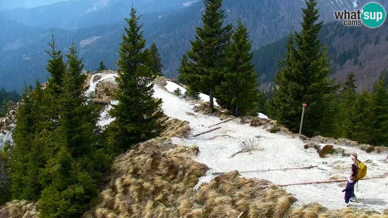 Spletna kamera Koča na Golici (1582 m) – Jesenice