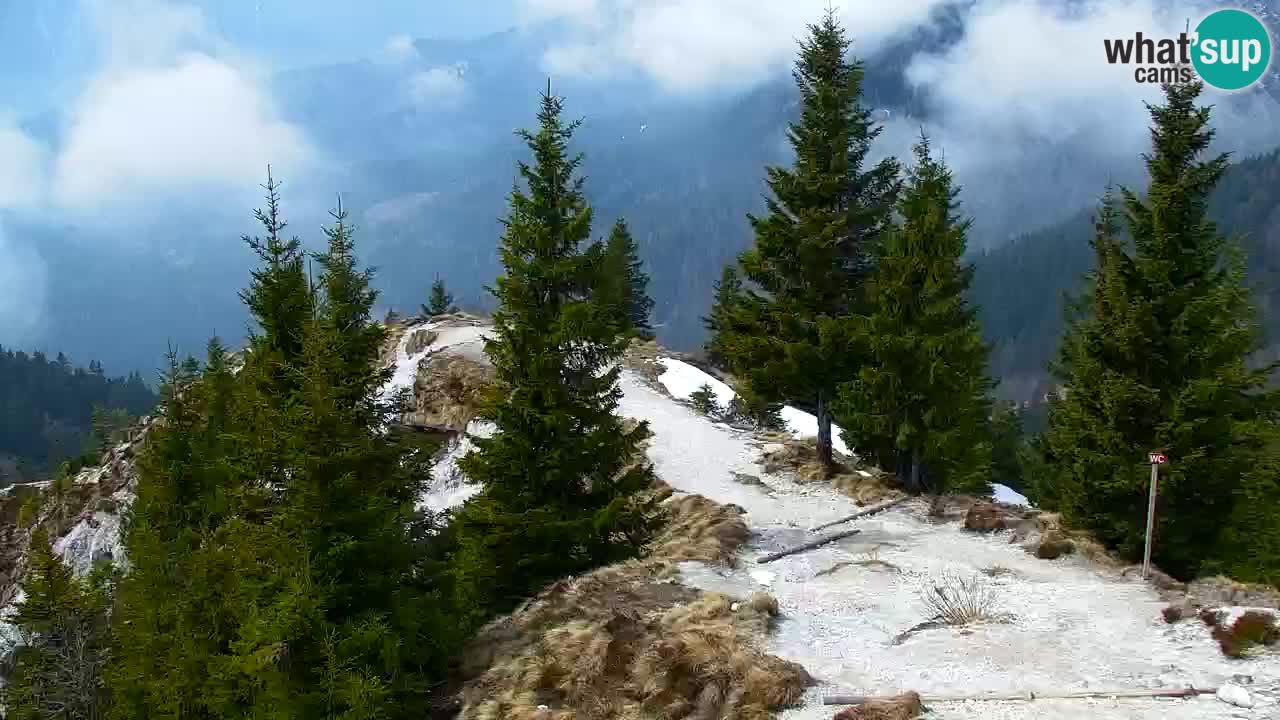 Koča na Golici Webcam (1582 m) – Slowenien