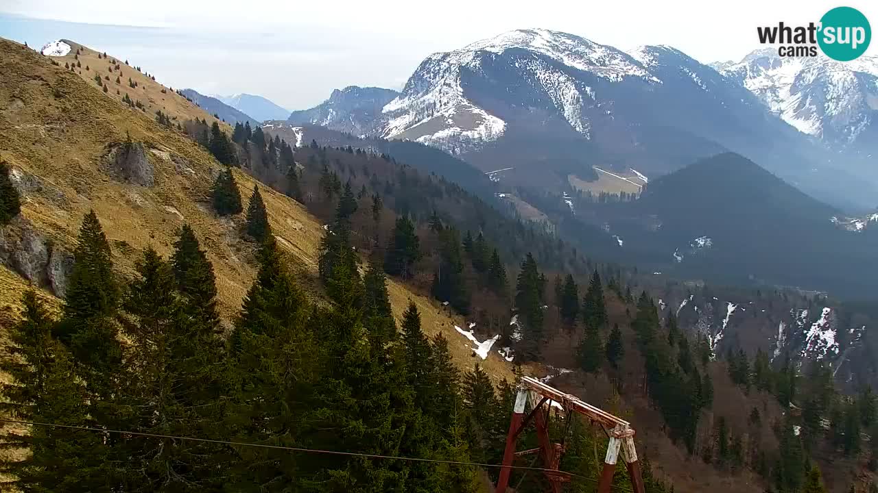 Koča na Golici Webcam (1582 m) – Slowenien