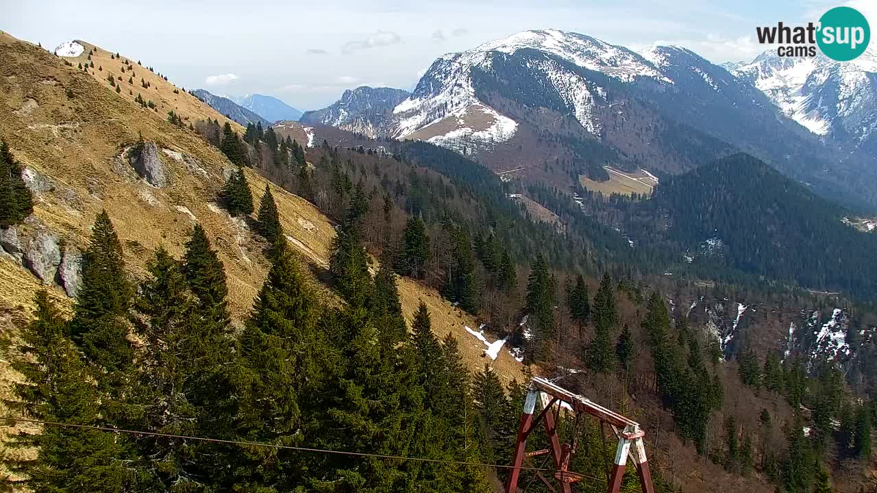 Koča na Golici Webcam (1582 m) – Slowenien