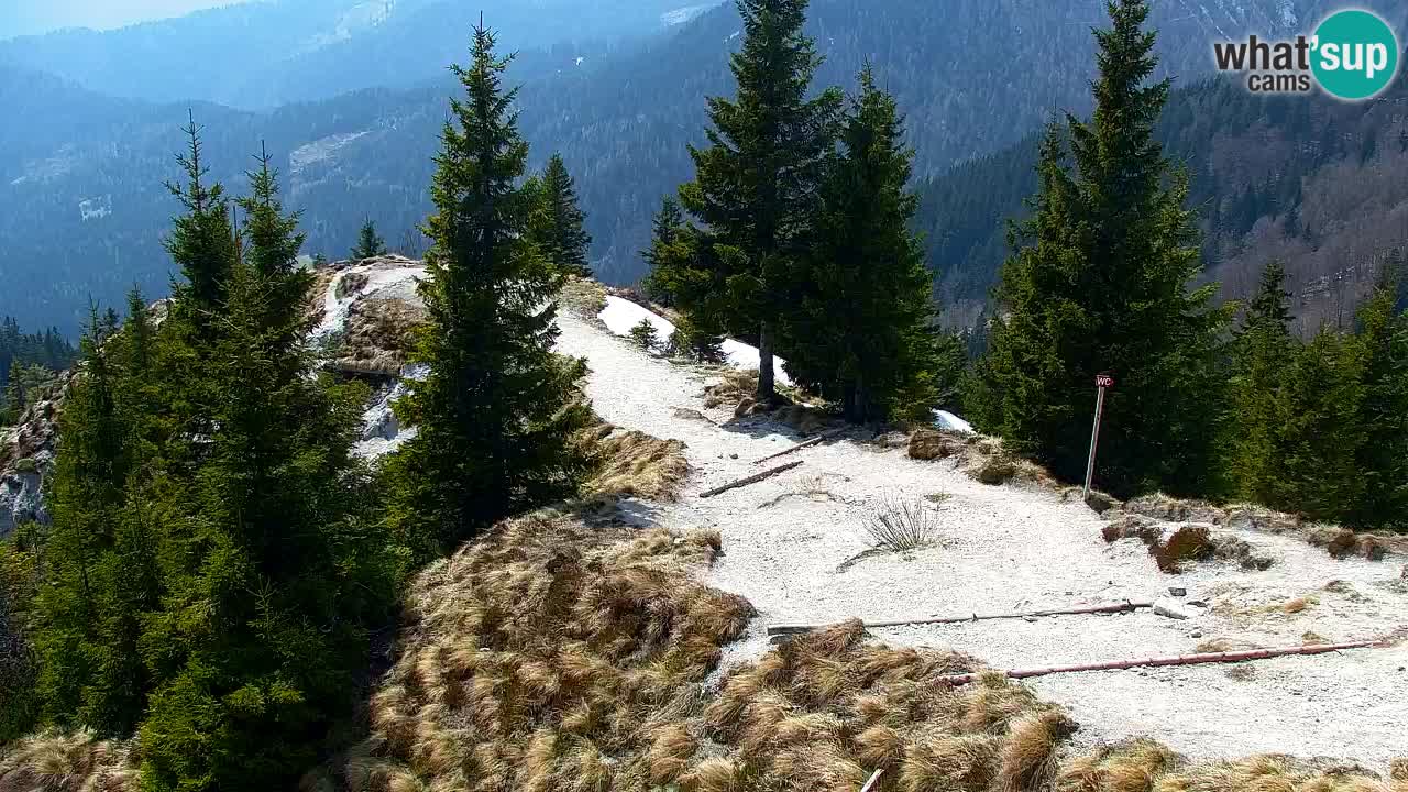 Koča na Golici Webcam (1582 m) – Slowenien
