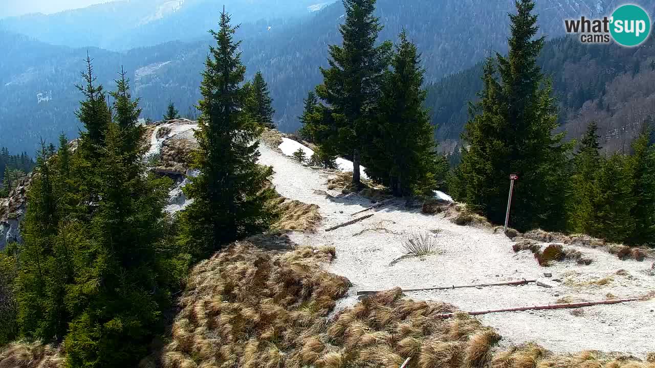 Koča na Golici Webcam (1582 m) – Slowenien