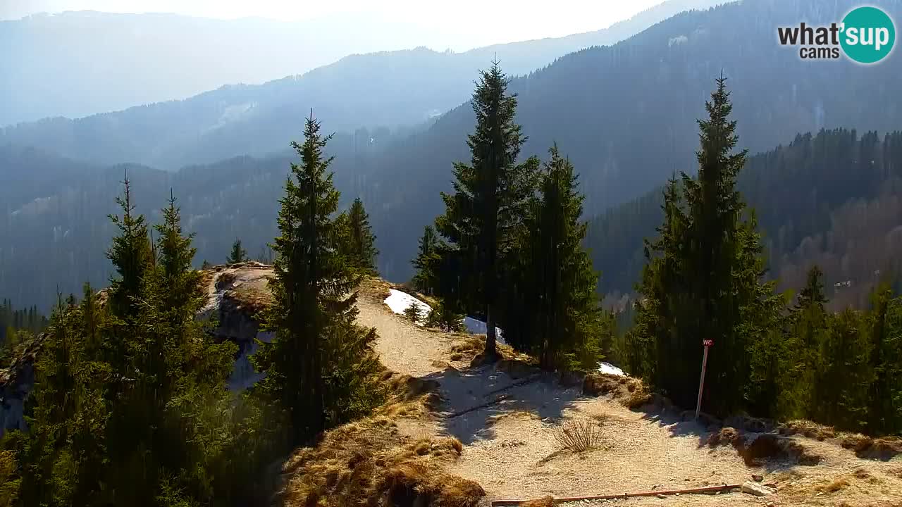 Webcam Koča na Golici (1582 m) – Slovenia