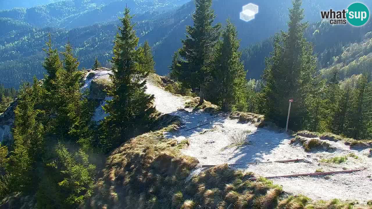 Webcam Koča na Golici (1582 m) – Slovenia