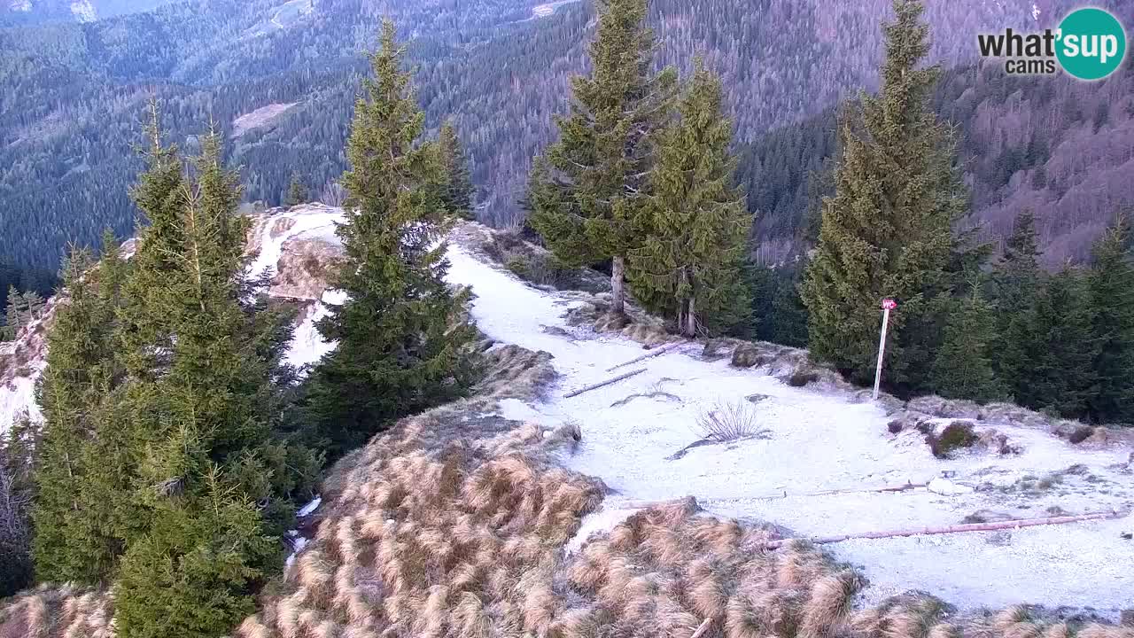 Koča na Golici Webcam (1582 m) – Slowenien