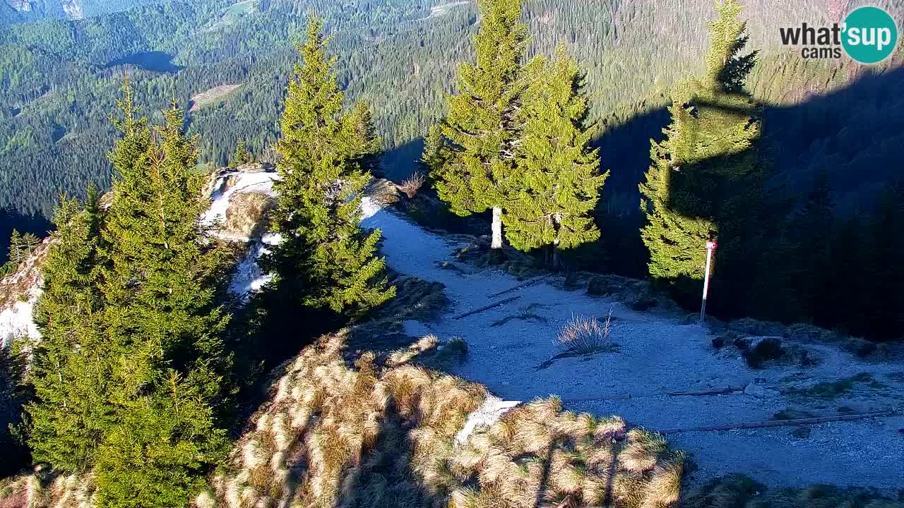 Web kamera Koča na Golici (1582 m) – Slovenija