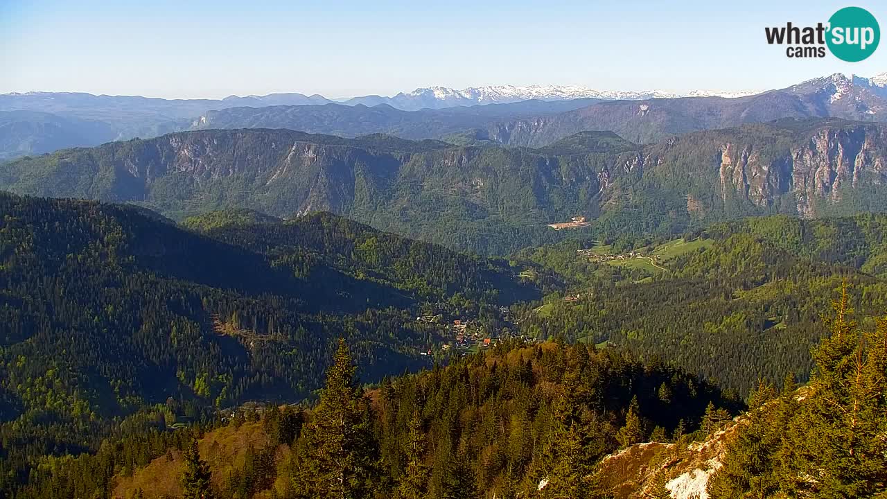 Web kamera Koča na Golici (1582 m) – Slovenija