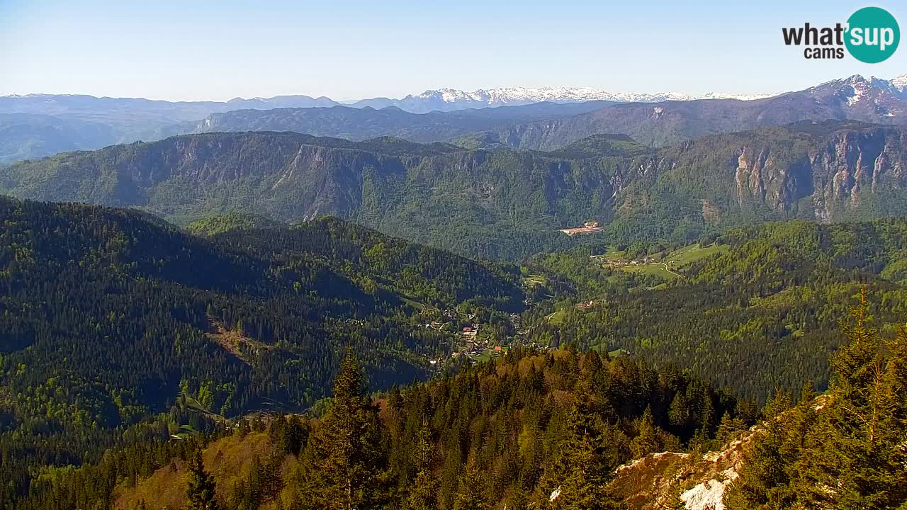 Koča na Golici Webcam (1582 m) – Slowenien