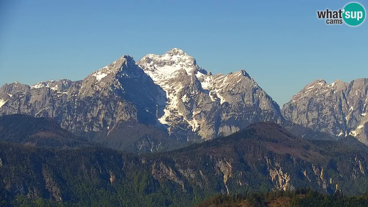 Koča na Golici Webcam (1582 m) – Slowenien