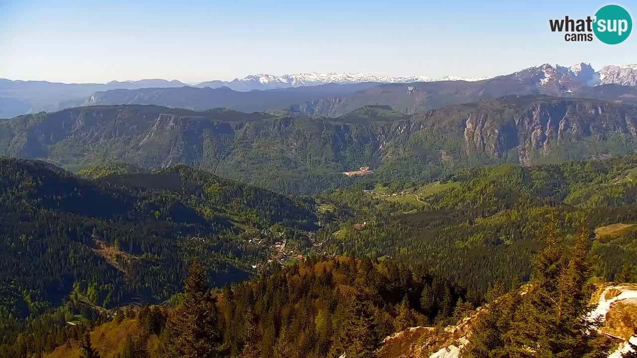 Web kamera Koča na Golici (1582 m) – Slovenija