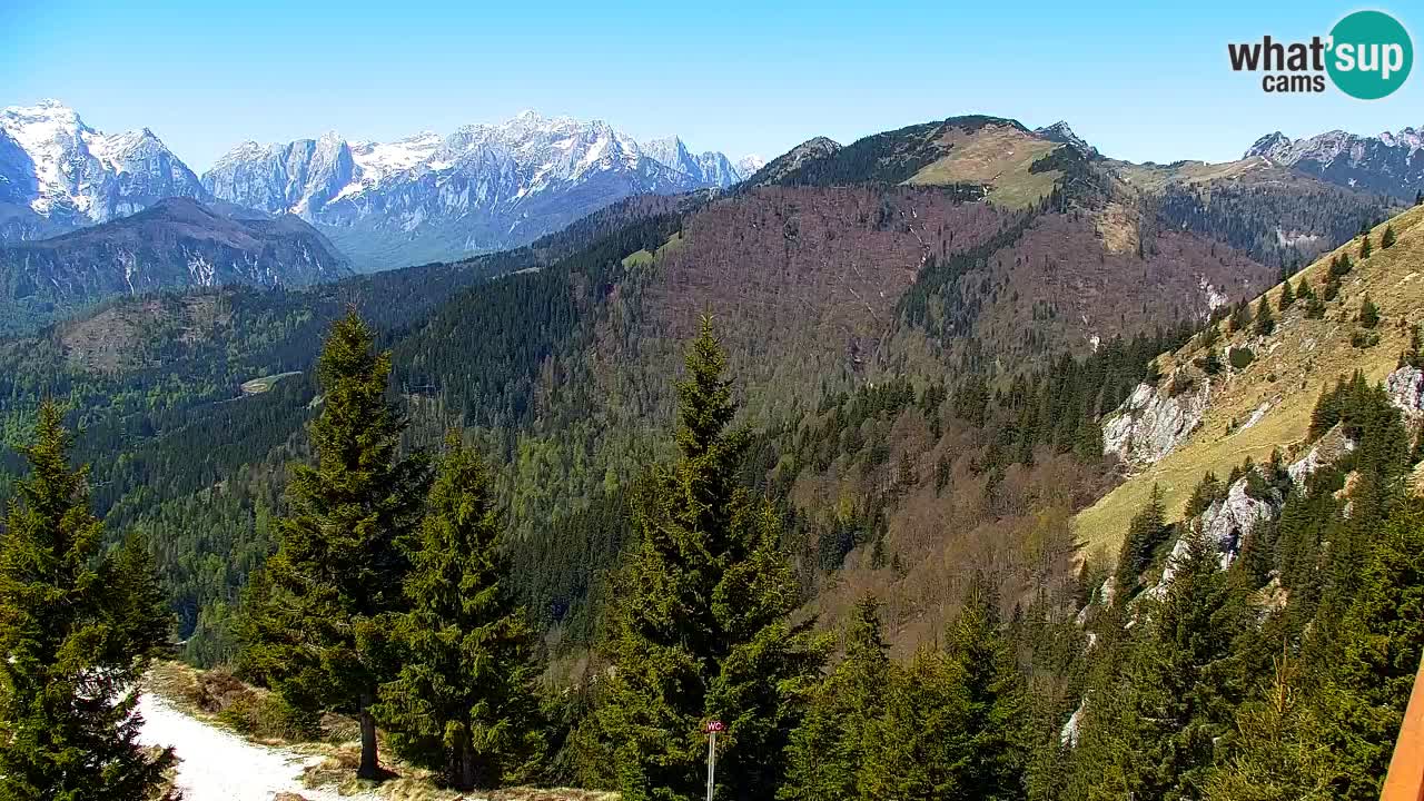 Webcam Chalet sur Golica (1582 m) – Slovénie